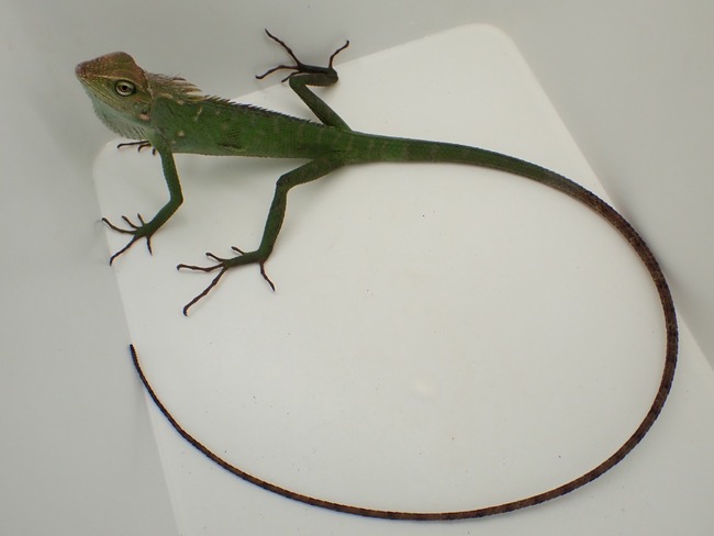 LINE_ALBUM_20240408 _1_240409_28