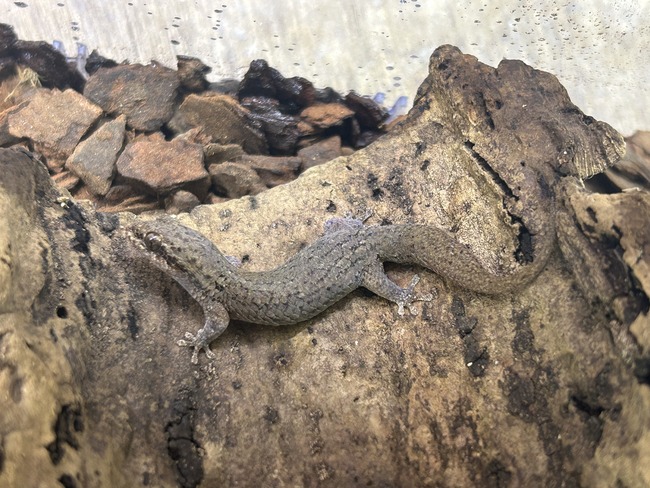 E52F60E4-C879-4A05-B784-F8324FEC6284