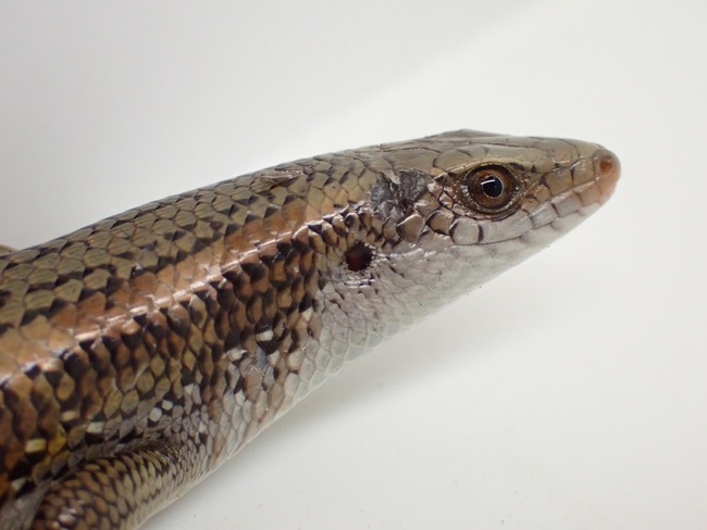 LINE_ALBUM_20240408 _1_240409_9