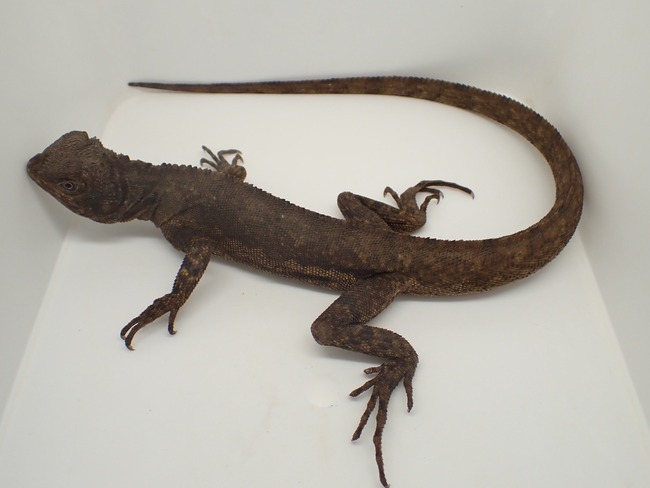 LINE_ALBUM_20241113_241114_13