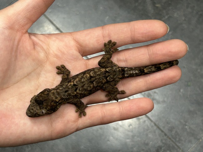 B83C440A-1D5B-421D-8791-8B91BA5C3953