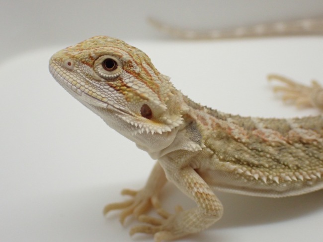 LINE_ALBUM_20240411_240412_26