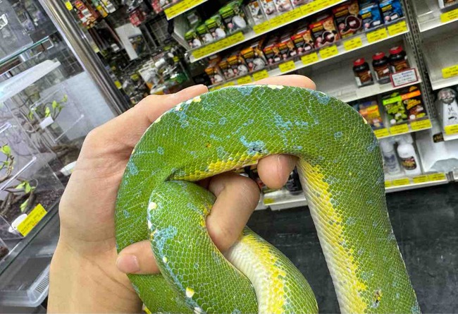 FullSizeRender