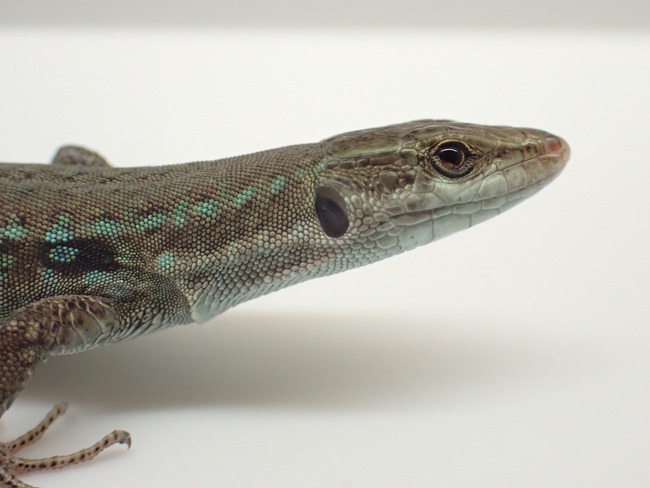 LINE_ALBUM_20241113_241114_9