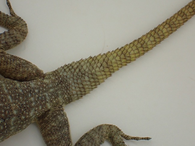 LINE_ALBUM_20240222 _1_240222_8