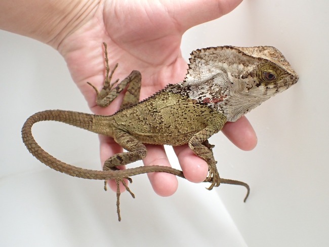 LINE_ALBUM_20241119_241121_1