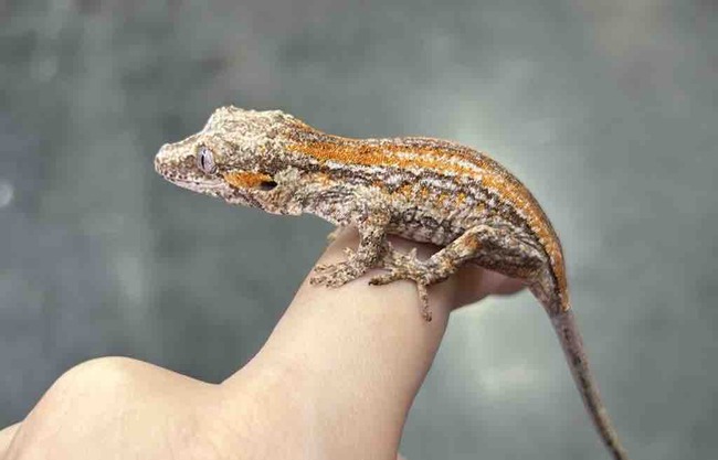 4780E0CA-AC2D-4DF6-AD43-B1BCECA717A5