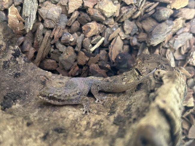 72BD9857-E065-48EF-9EB7-1AB93FAE7077