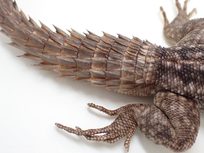 LINE_ALBUM_20240222 _1_240222_35