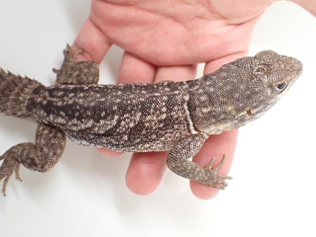 LINE_ALBUM_20240222 _1_240222_42