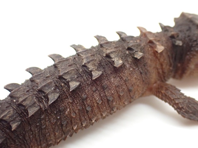 LINE_ALBUM_20241119_241121_28