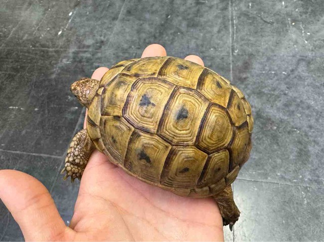 FullSizeRender