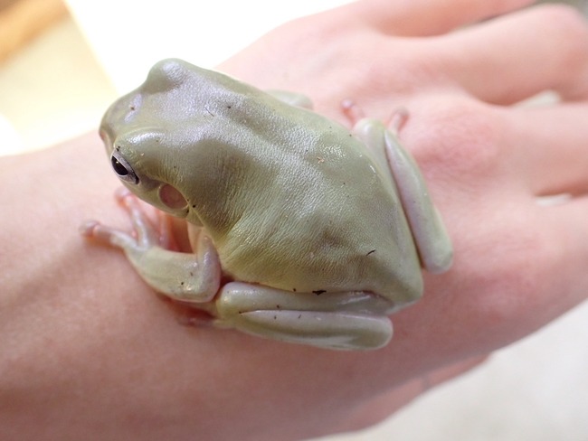 DCA45F3F-861D-47AC-996E-EF3D836C89EB