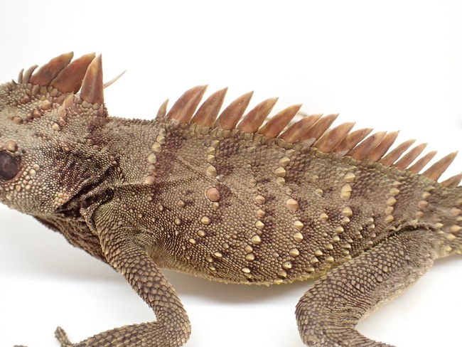 LINE_ALBUM_20241119_241121_12