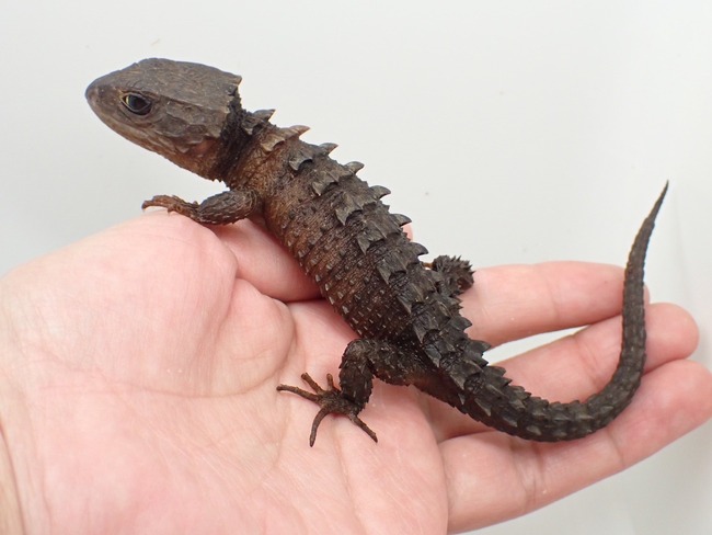 LINE_ALBUM_20241119_241121_26