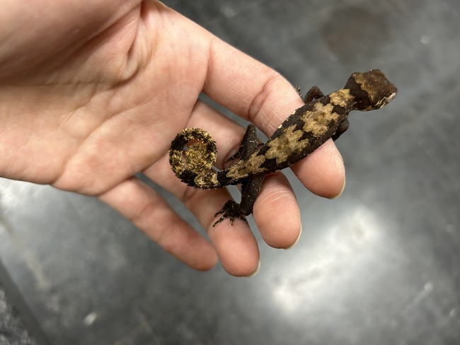 72202551-43C5-413D-ADA9-0C7753CF6C8F