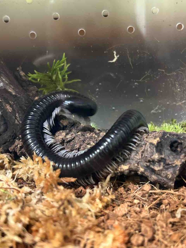 A28068E2-BA34-43A9-801F-5C68030B1136