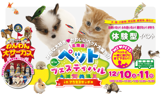 イベント 爬虫類倶楽部大宮店公式ブログ イベント 爬虫類倶楽部大宮店公式ブログ
