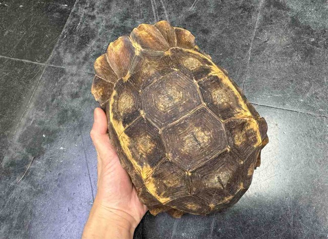 FullSizeRender