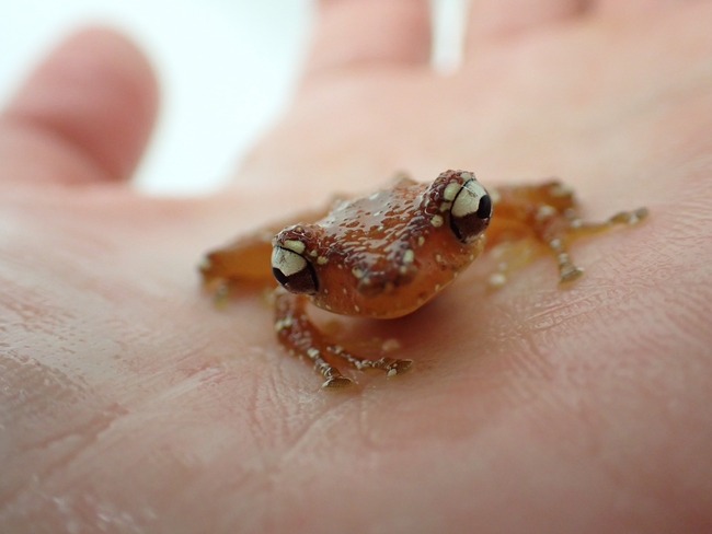 AAC857F1-891B-4060-9D78-887C028B2CA7