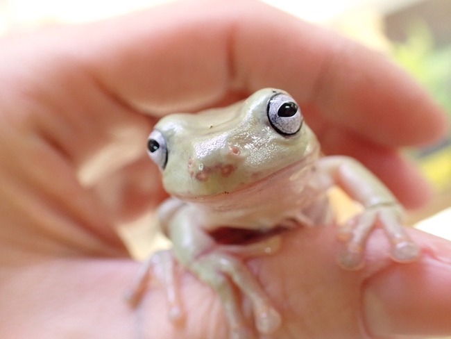 6F2CCD08-CC77-4B02-9B8B-11DE761B9436