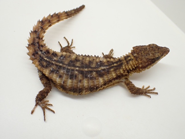 LINE_ALBUM_20241113_241114_26