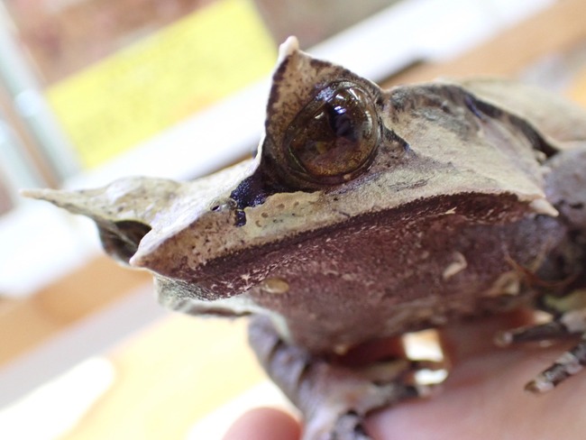 9F49A8FA-7F47-4F36-B115-6F97F7416523