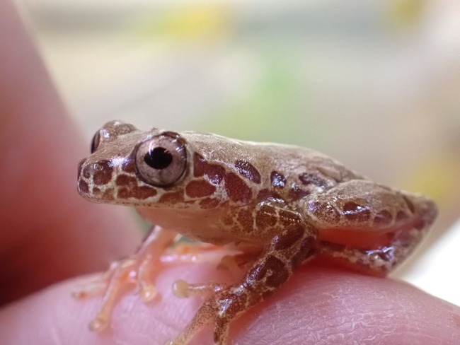 1B896C5C-7720-4A67-82BB-509D671E9072