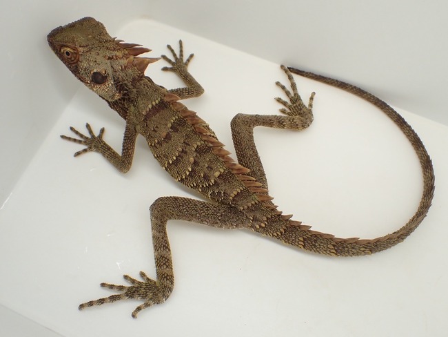 LINE_ALBUM_20241119_241121_10