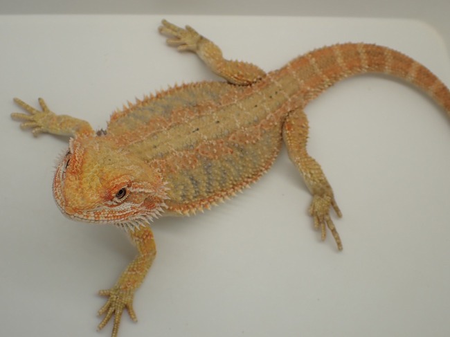 LINE_ALBUM_20240121_240121_7