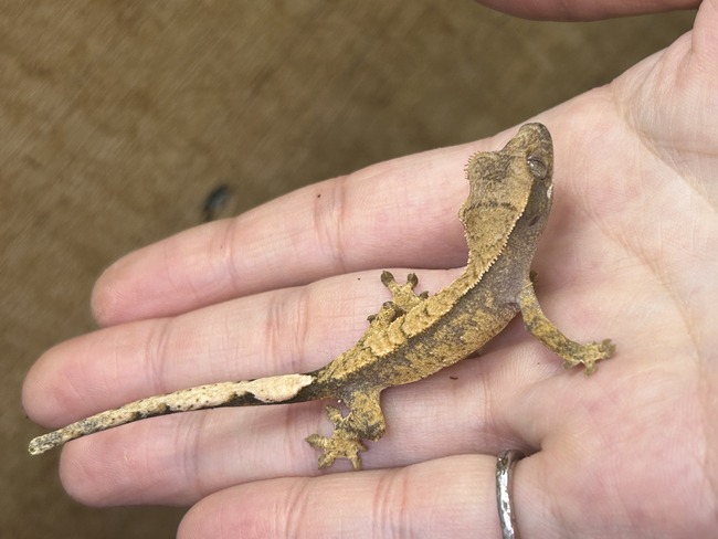 5EF5706F-94C1-4D85-8220-D058A2966024