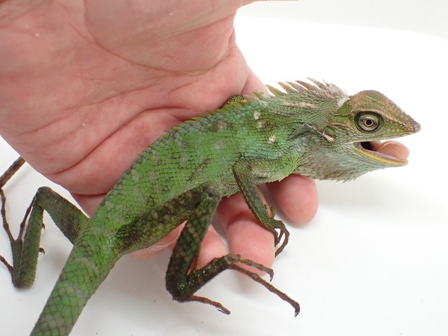 LINE_ALBUM_20240408 _1_240409_27