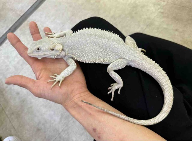 FullSizeRender