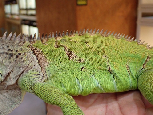 LINE_ALBUM_20240222 _1_240222_50