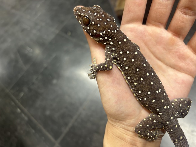 37CB4FAC-5188-480D-9C9D-03EC51894235