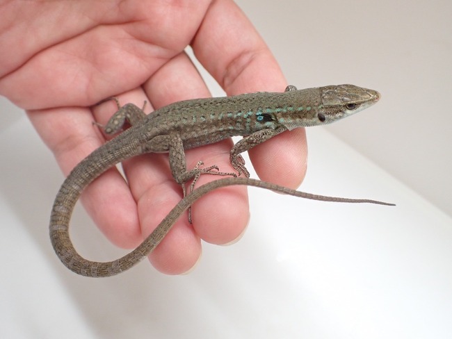 LINE_ALBUM_20241113_241114_11