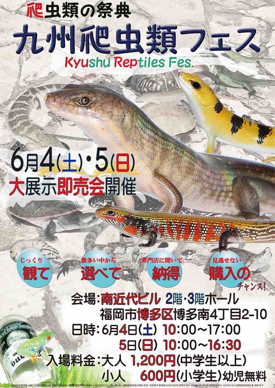 九州爬虫類フェス 九レプ お品書き 爬虫類倶楽部大宮店公式ブログ