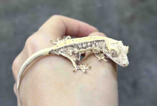 8B61328B-ED72-4E16-93EA-3FAC011050F2