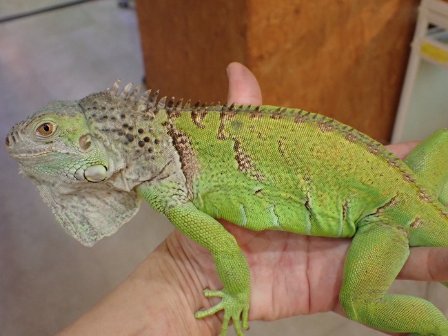 LINE_ALBUM_20240222 _1_240222_51