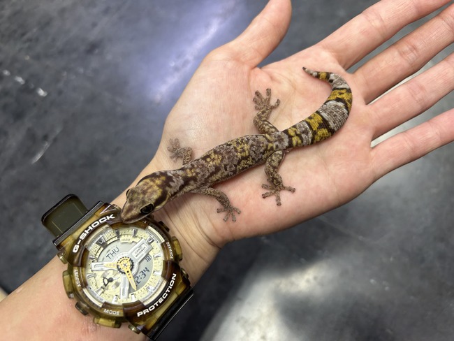 21A55EC8-8629-4709-B7BA-4A9AF23EF77A