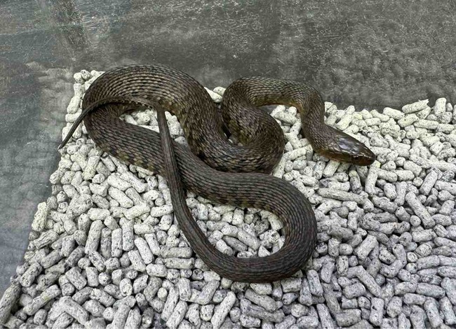 FullSizeRender