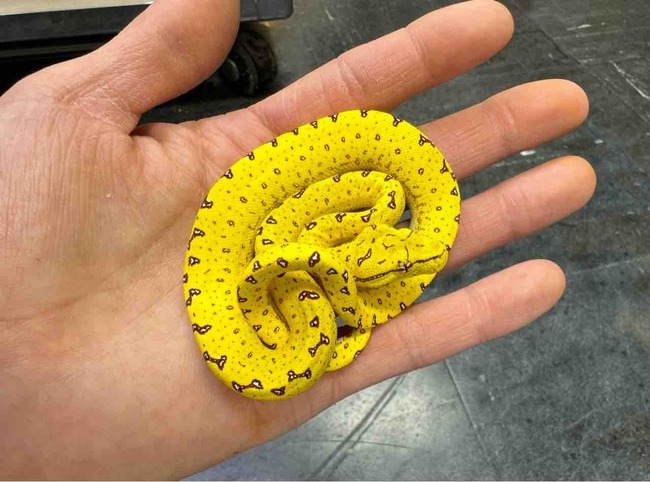 FullSizeRender