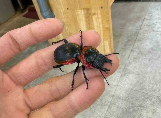 FullSizeRender