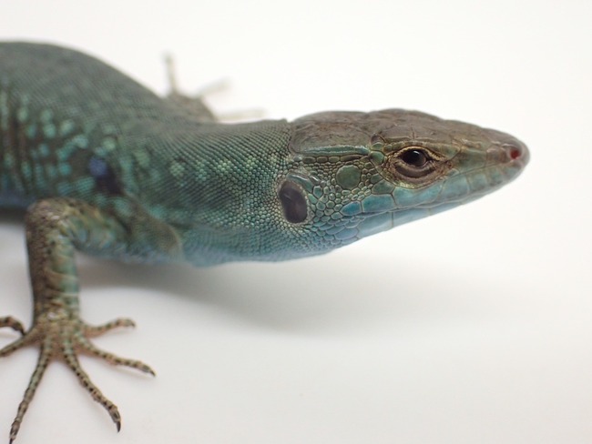 LINE_ALBUM_20241113_241114_7