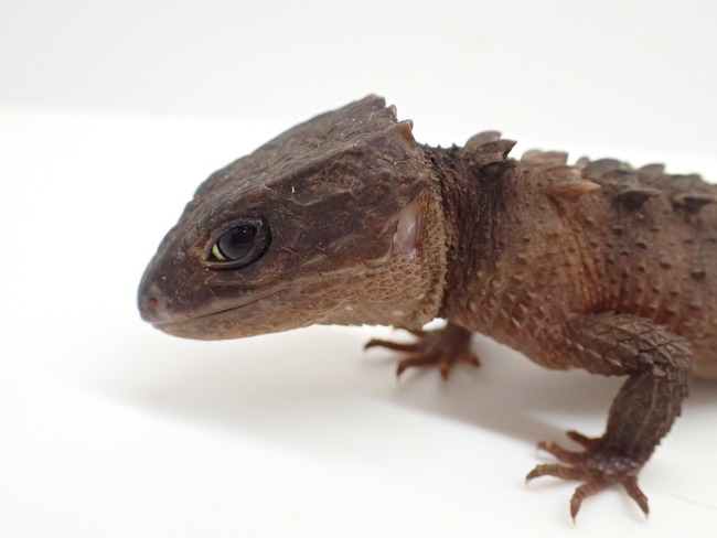 LINE_ALBUM_20241119_241121_32