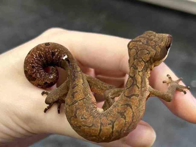 2C82659C-F889-4206-BF96-5EA92D7327DC