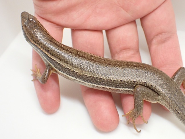 LINE_ALBUM_20240222 _1_240222_30