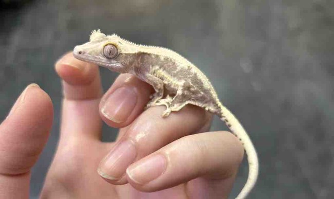 4B4CDEA2-9BC8-4D07-841D-B09350D860B5