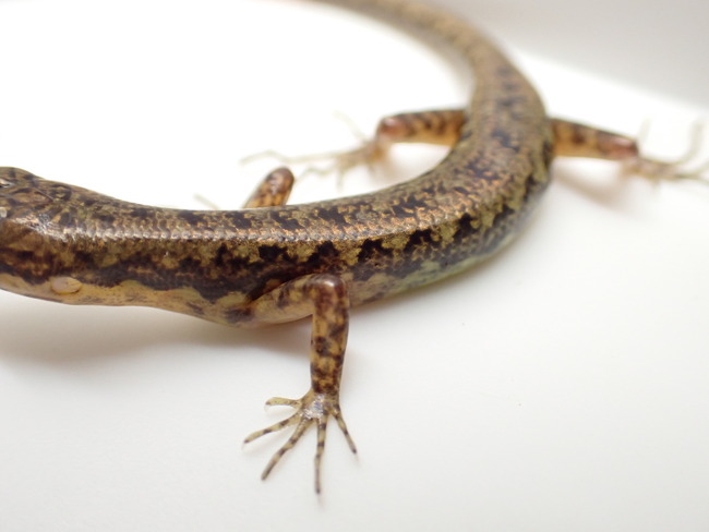 P9034466