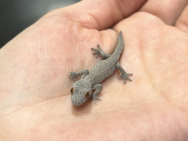 2AC717D5-6F2A-4E86-A397-8347AA59EB3D